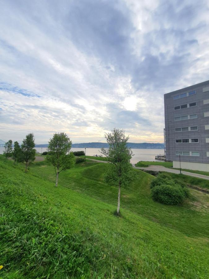 Northern Dreams Apartment With Free Parking ทรอมโซ ภายนอก รูปภาพ